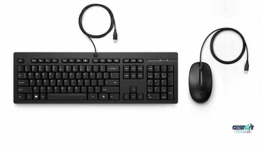 HP Wired Keyboard & Mouse Bundle | Full-Size + Numpad, USB Plug-and-Play